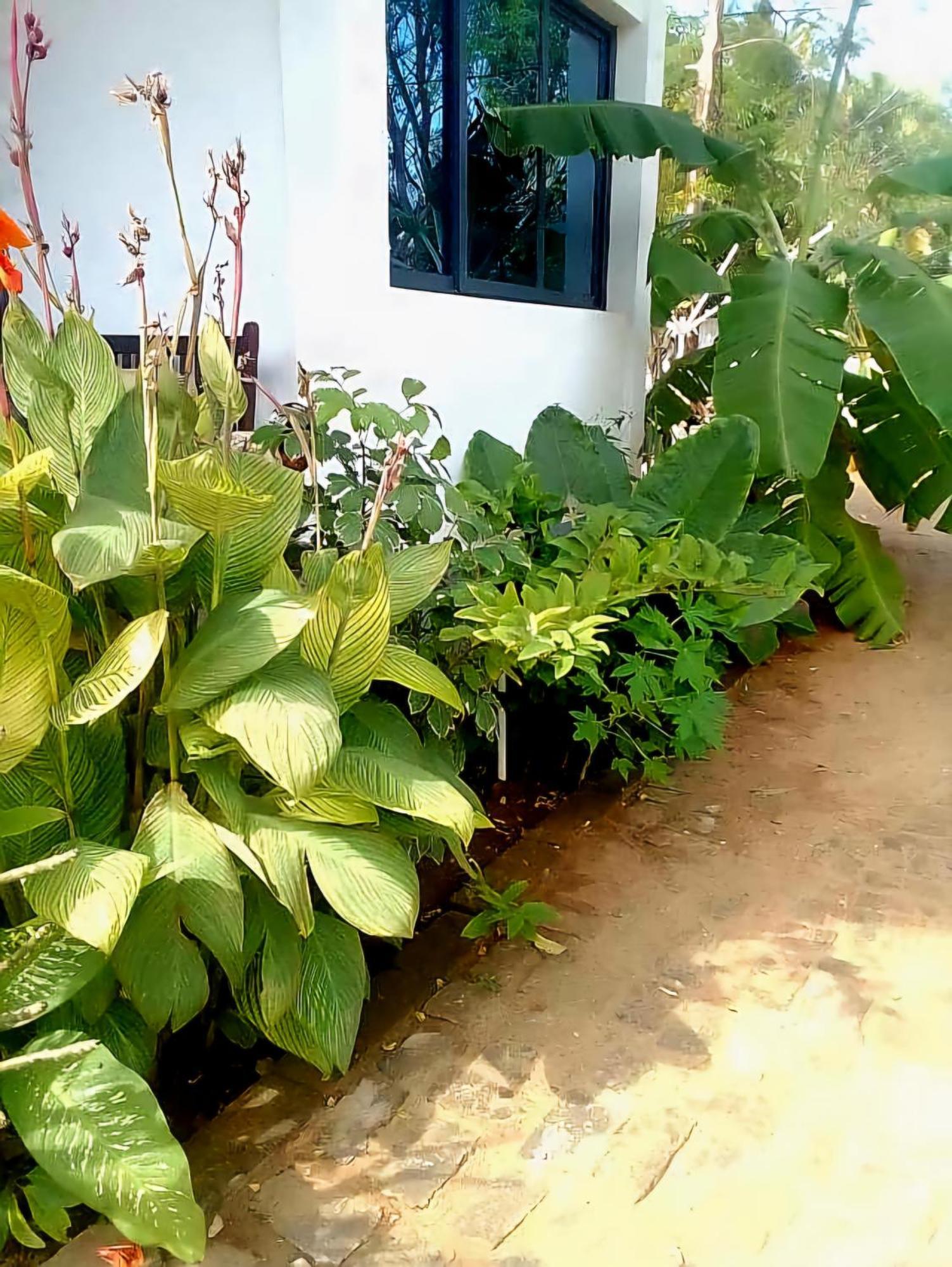 Bungalow Ramena Beach Antsiranana Andjamen Екстер'єр фото